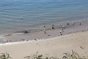 2025-06-22 La Perouse - IMG_2769_compressed_q50.webp